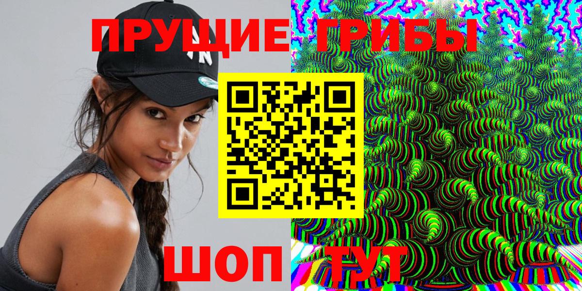 Галлюциногенные грибы Psilocybe  Вход с VPN  Малоярославец 